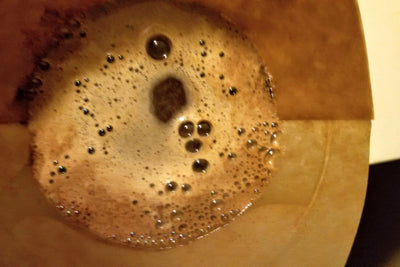 What are Those Bubbles In My Pourover?
