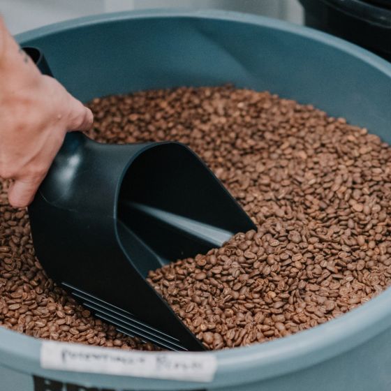 Rhino Coffee Bean Scoop