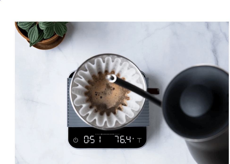 Acaia Pearl Scale